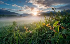 An image of a sunrise in nature.