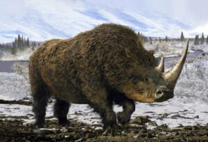 Gold Diggers Stumble Upon Mummified Remains of Extinct Beast