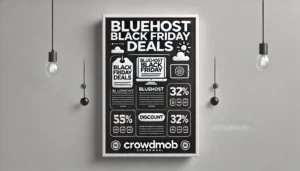 Bluehost Black Friday Deals 2024